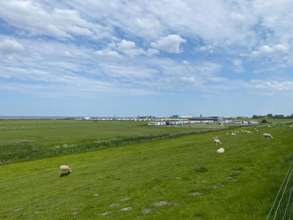 House | View from property