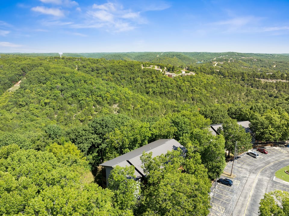 Condo, 2 Bedrooms | Aerial view