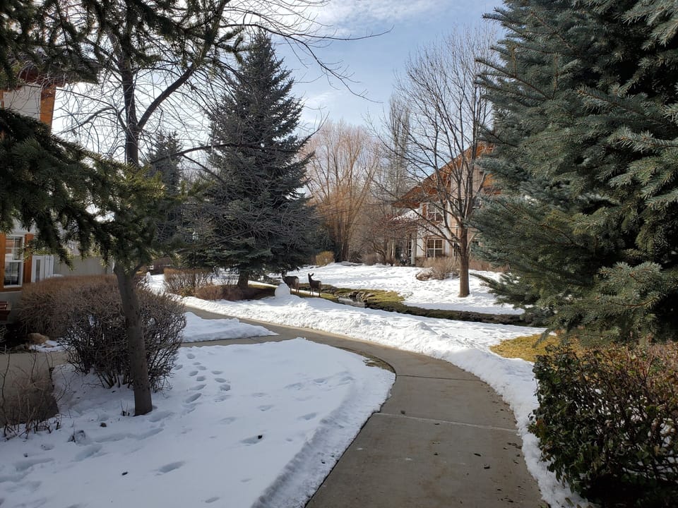 Condo, 3 Bedrooms | Property grounds