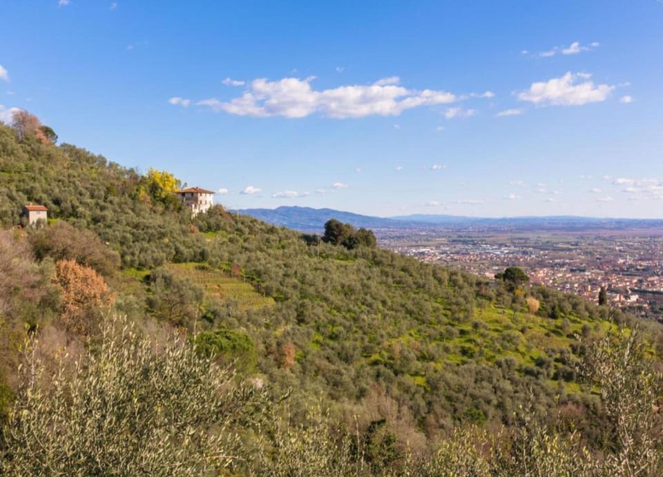 House | View from property