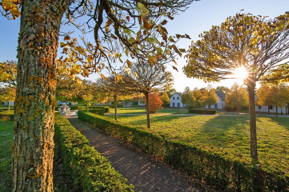House | Garden