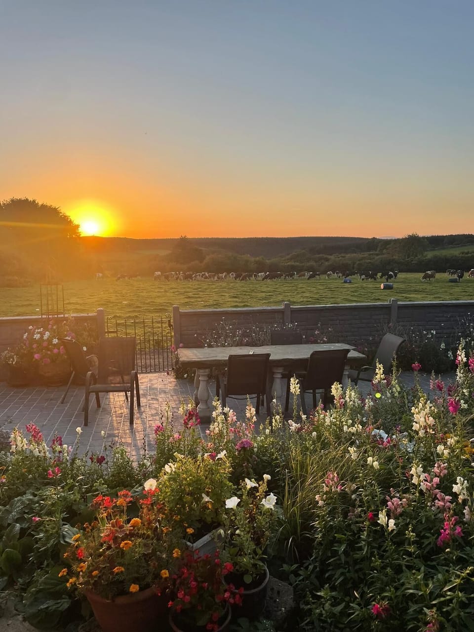 House | Outdoor dining