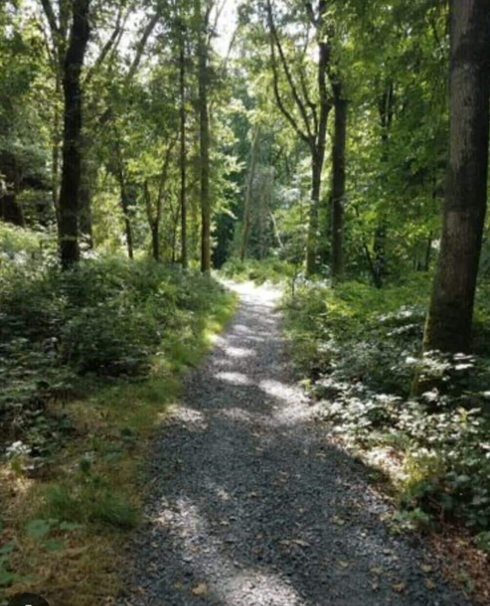 House | Miscellaneous