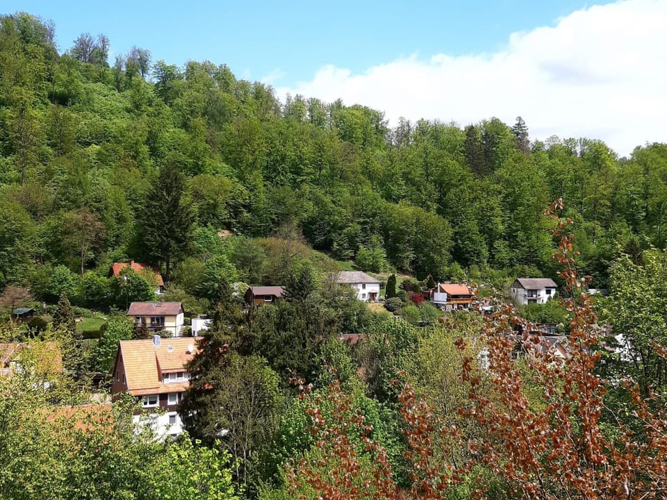 House | View from property