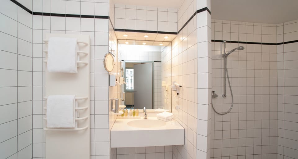 Deluxe Room | Bathroom | Shower, eco-friendly toiletries, hair dryer, towels