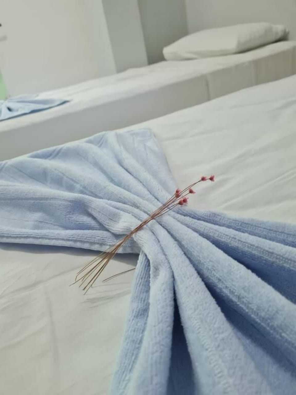 Desk, laptop workspace, WiFi (free), bed sheets