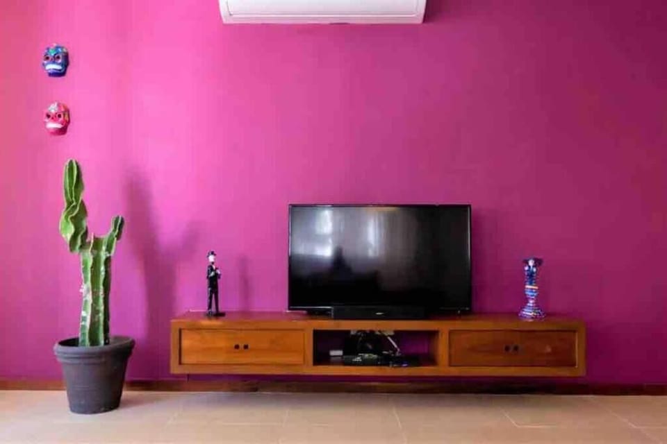 THE MEXICAN ONE | Living area | TV