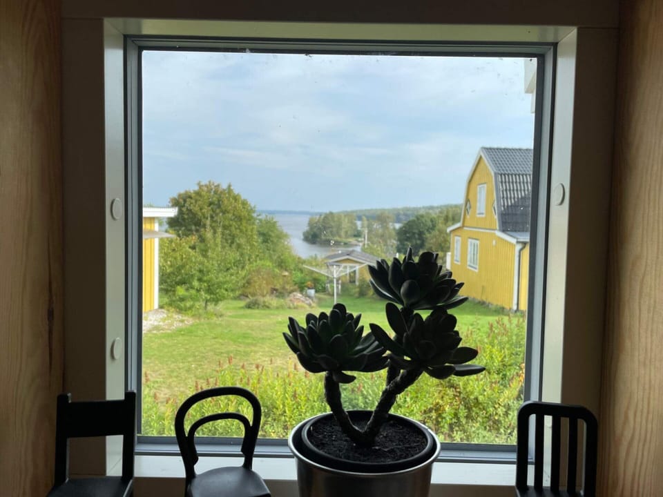 House | View from property