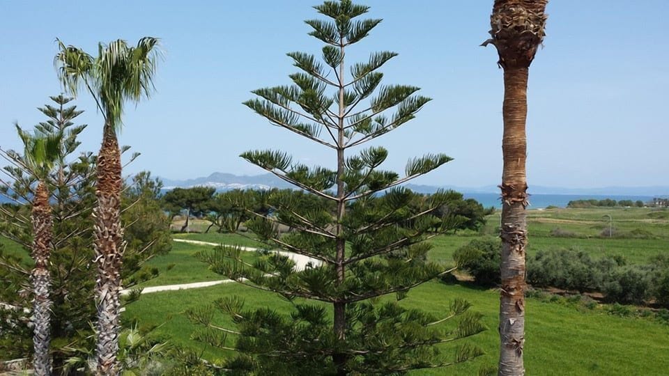 View from property