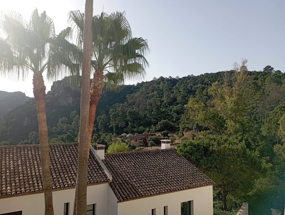 Apartment, 3 Bedrooms, Terrace, Mountain View | Miscellaneous