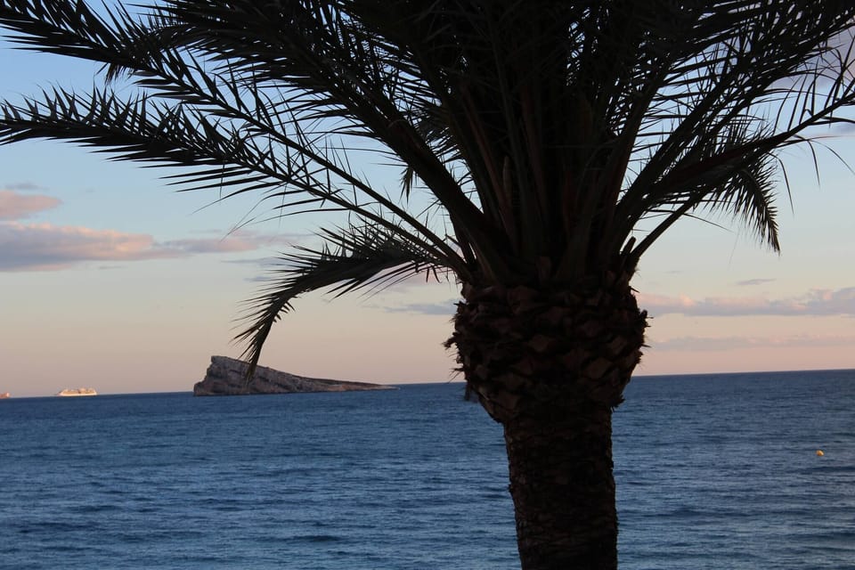 Apartment, 1 Bedroom, Accessible, Balcony | Beach | On the beach