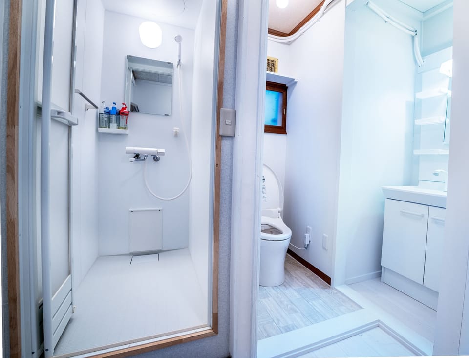 Shower, hair dryer, bidet, towels