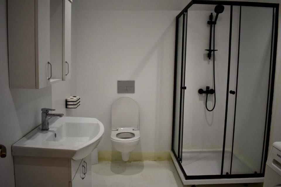 Shower, towels, soap, toilet paper