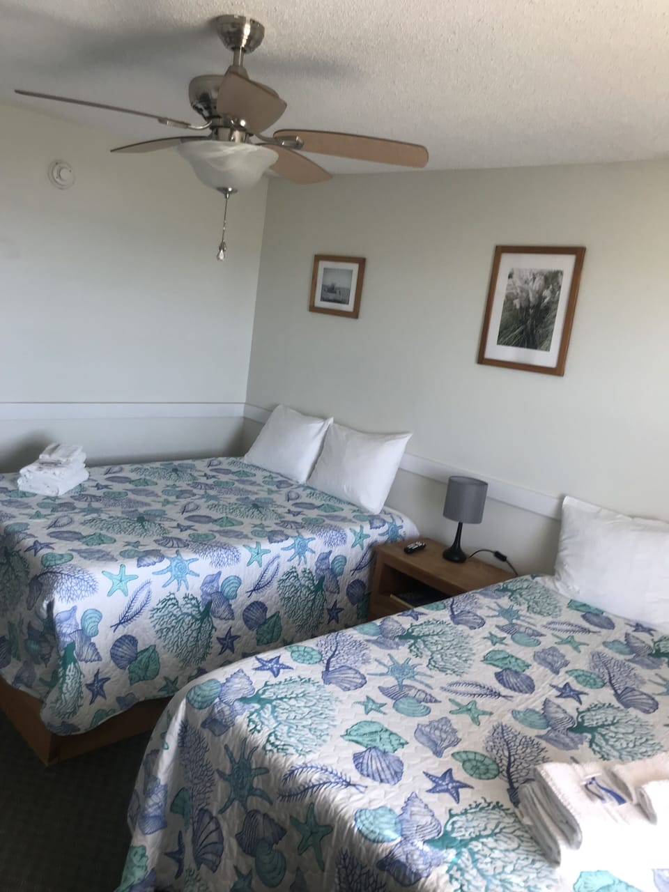 WiFi (free), bed sheets
