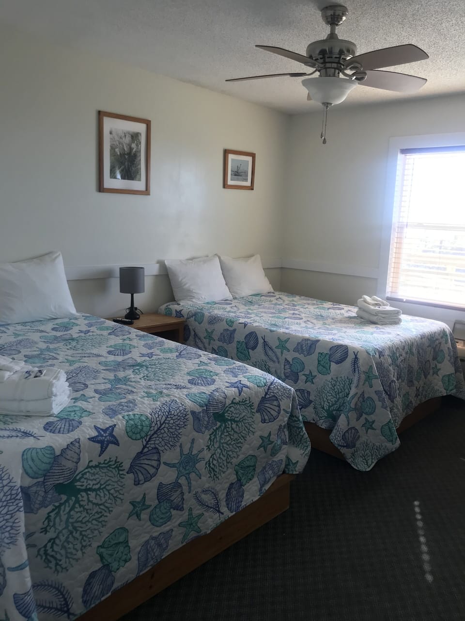 WiFi (free), bed sheets