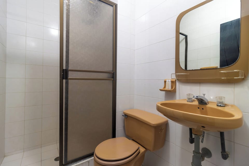 Shower, bidet, towels, soap
