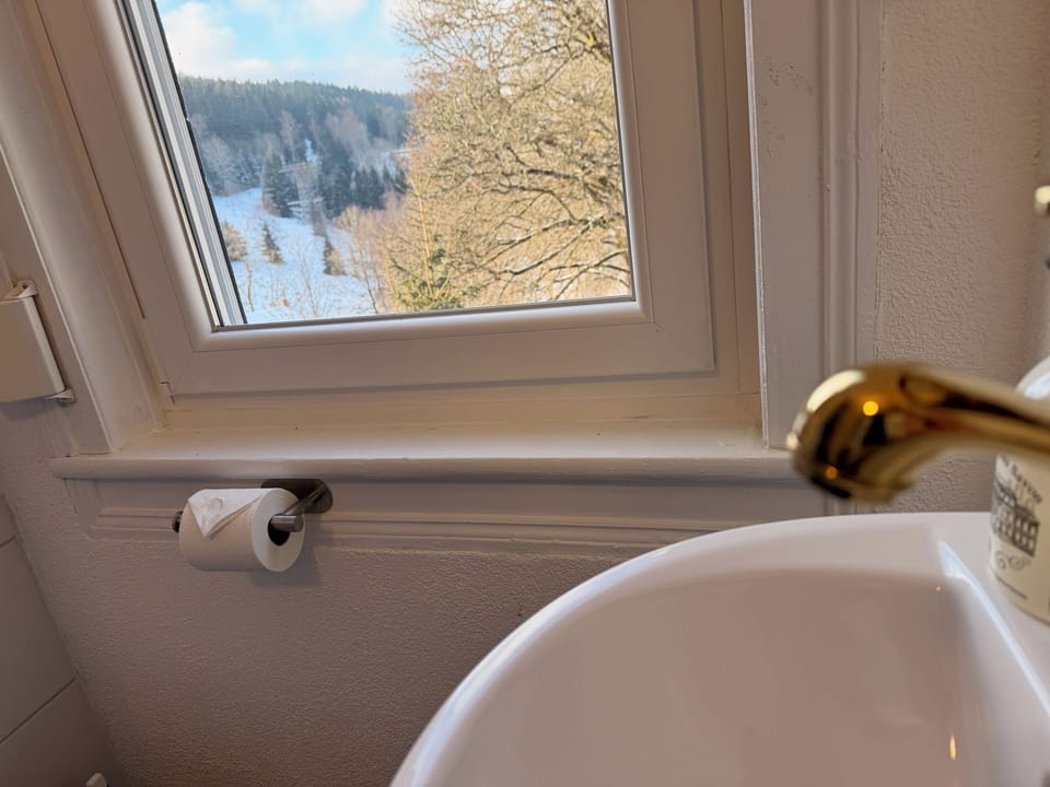 Deluxe Double Room | Bathroom | Shower, hair dryer, towels, soap