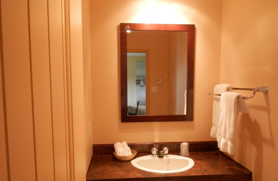 Standard Room, 1 Queen and 1 Sofa bed  | Bathroom sink