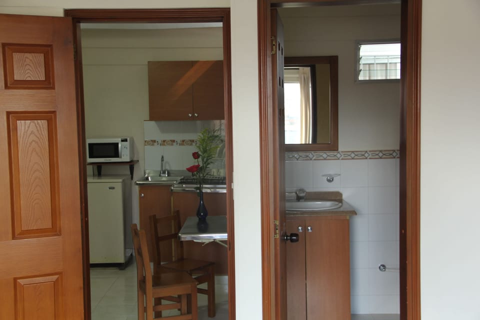 Apartment 2 Adults | 1 bedroom, desk, blackout drapes, iron/ironing board