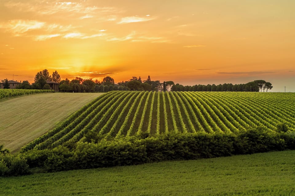 Land view from property