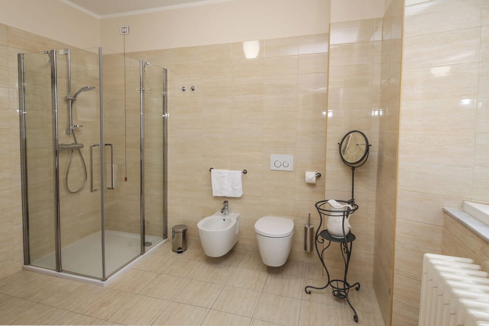 Deluxe Double or Twin Room | Bathroom | Shower, free toiletries, hair dryer, bidet