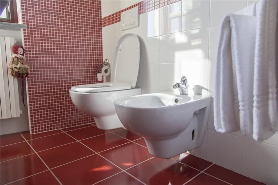 Double Room, Terrace | Bathroom | Shower, free toiletries, hair dryer, bidet