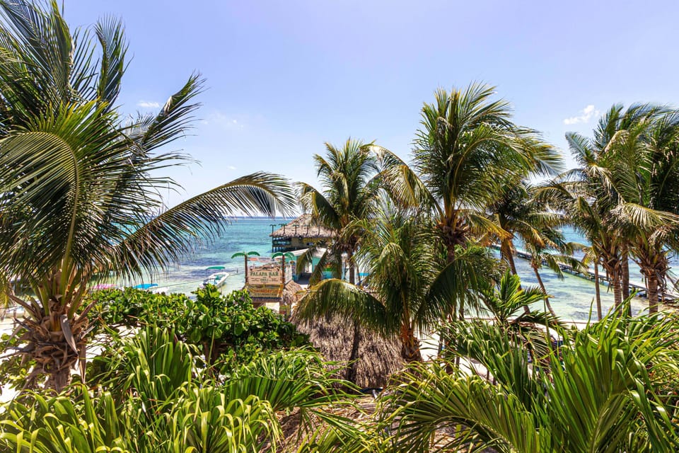 Panoramic Studio Suite, 1 King Bed, Balcony, Ocean View | Beach/ocean view