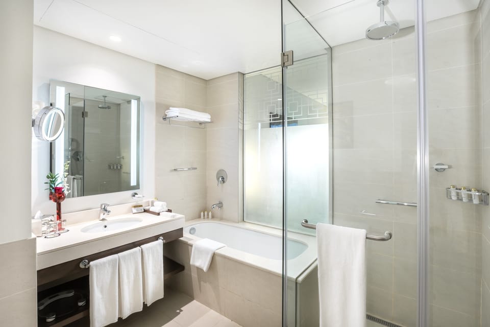Separate tub and shower, free toiletries, hair dryer, bathrobes