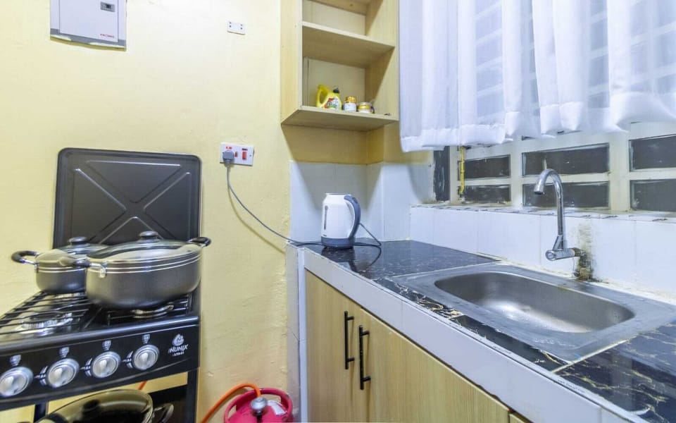 Deluxe Apartment, City View | Private kitchen | Microwave, cookware/dishes/utensils