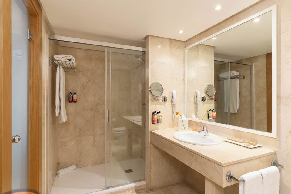 Shower, free toiletries, hair dryer, bidet