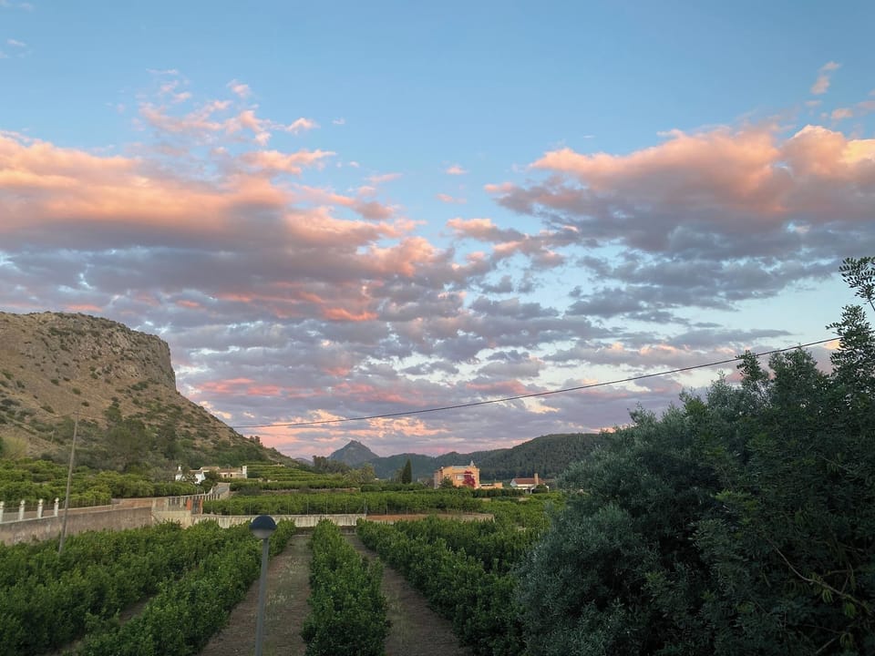 Room, 1 Bedroom, Smoking, Private Pool | View from property