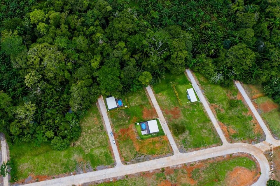 House | Aerial view