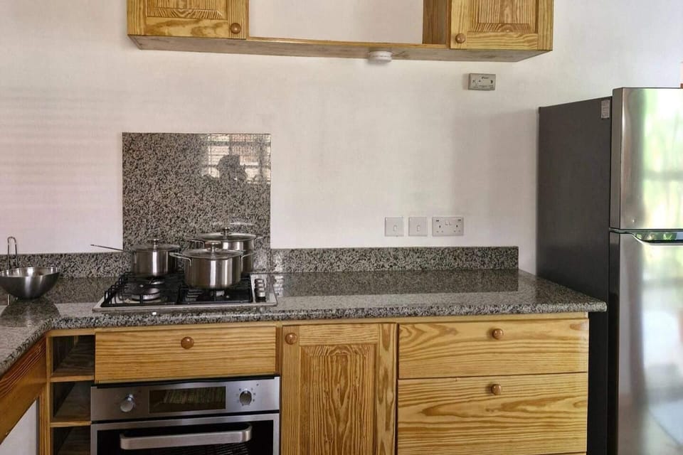 Apartment | Private kitchen | Fridge, microwave, oven, stovetop