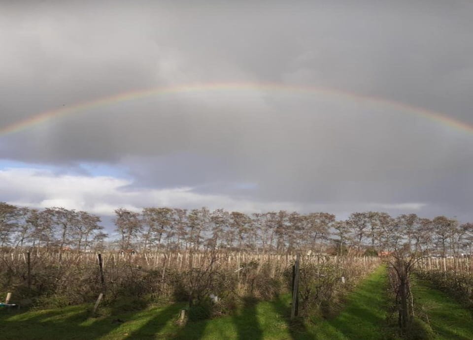 House | View from property
