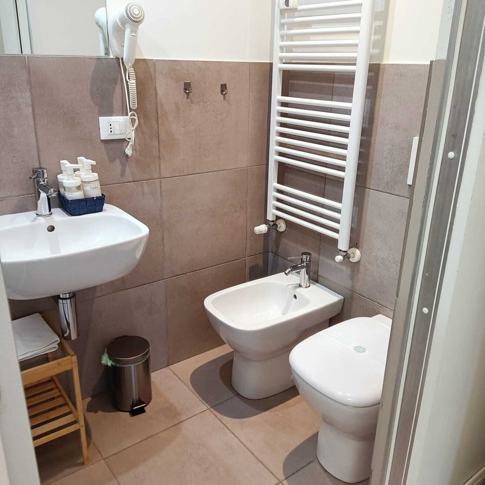 Premier Double Room | Bathroom | Shower, free toiletries, hair dryer, towels
