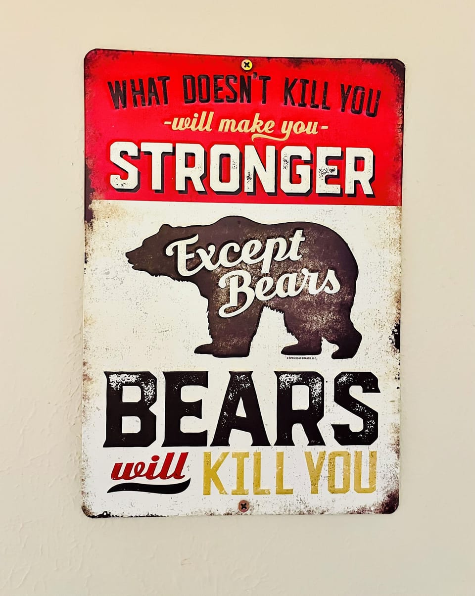 Family Cabin | Iron/ironing board, free WiFi, bed sheets