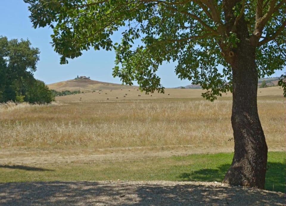 House | View from property