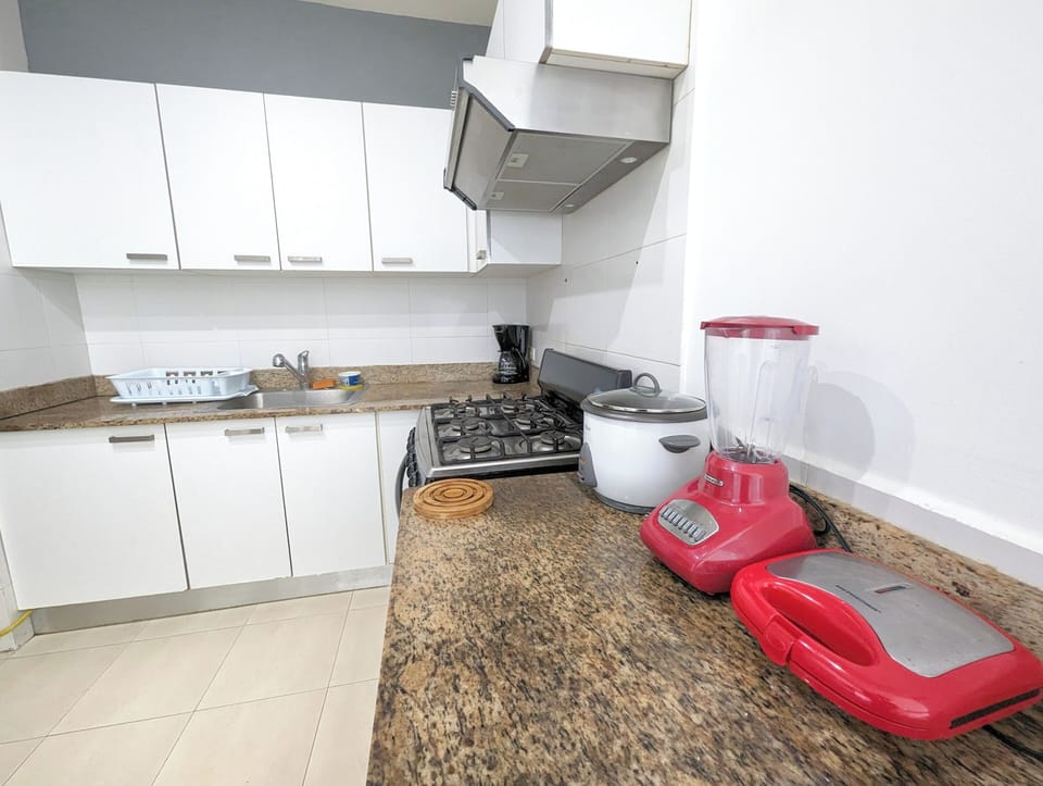 Apartment, City View | Private kitchen