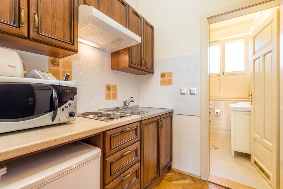 Superior Studio | Private kitchenette | Fridge, microwave, stovetop, dishwasher