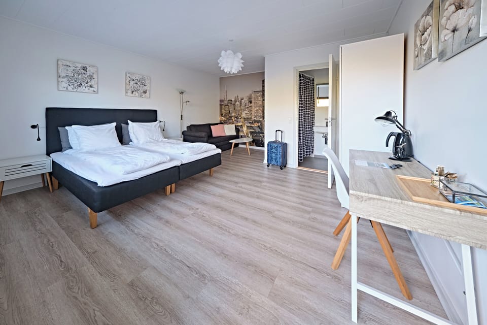 Standard Double Room | Hypo-allergenic bedding, desk, laptop workspace, iron/ironing board