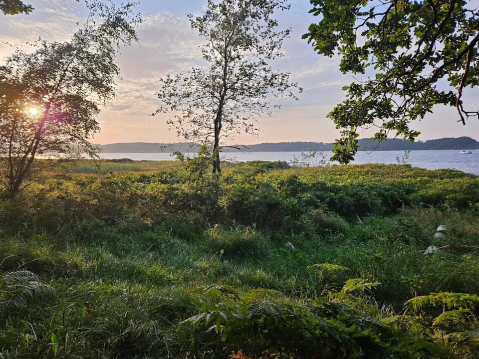 House | Water view