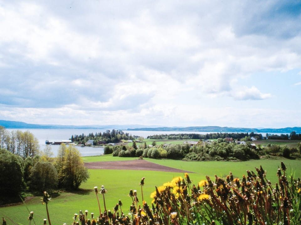 House | Water view