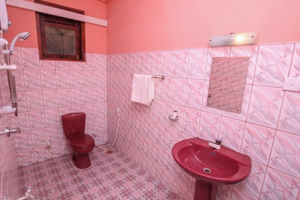 Standard Double Room | Bathroom | Shower, free toiletries, towels, soap