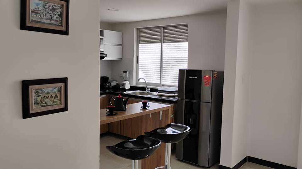 Apartment, 1 Bedroom, Accessible, City View | Private kitchen