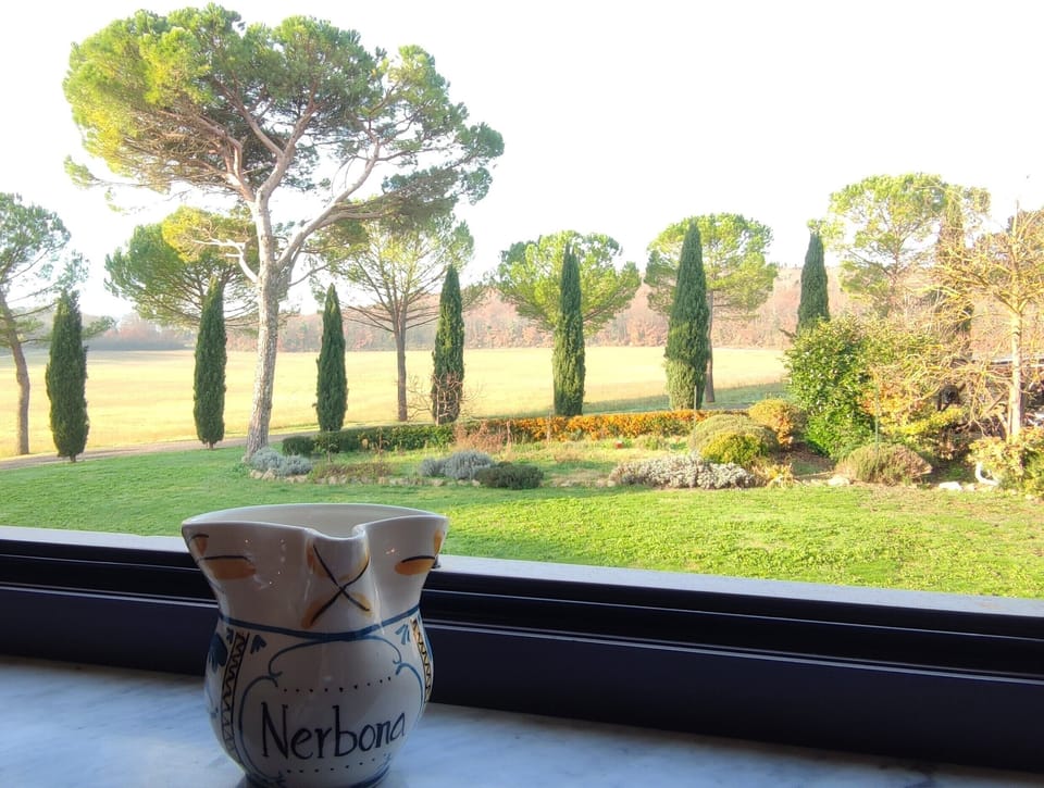 Land view from property