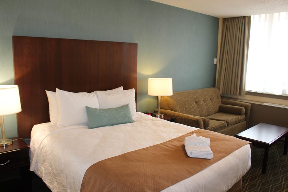 Standard Room, 1 Queen Bed with Sofa bed, Non Smoking (with Sofabed) | Desk, iron/ironing board, free cribs/infant beds, free WiFi