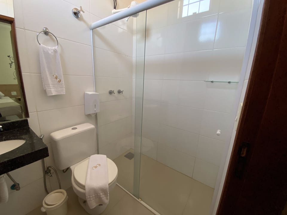 Towels, soap, shampoo, toilet paper