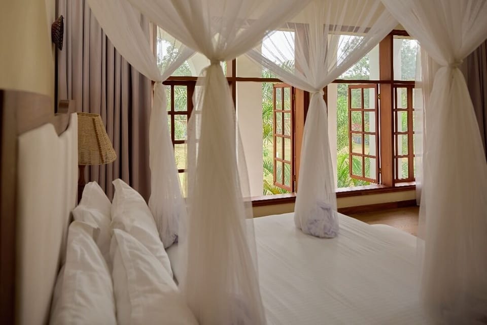 Comfort Double Room, Balcony, Mountain View | Desk, free WiFi