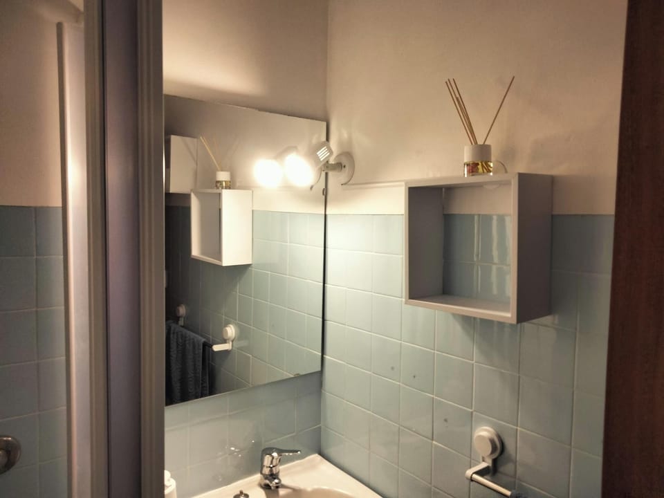 Hair dryer, bidet, towels, soap