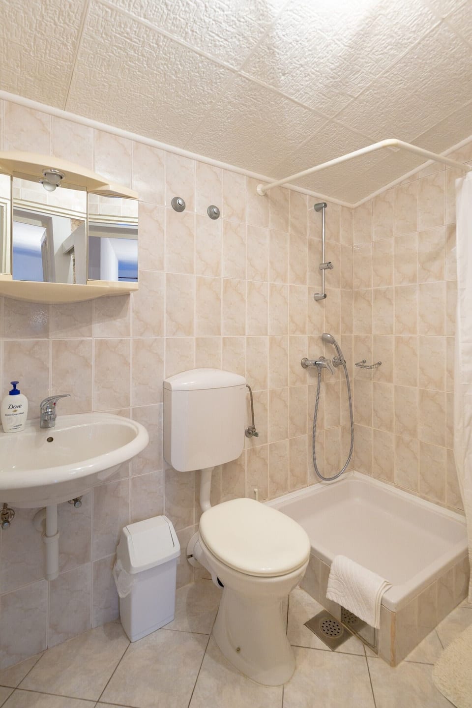 Hair dryer, towels, toilet paper